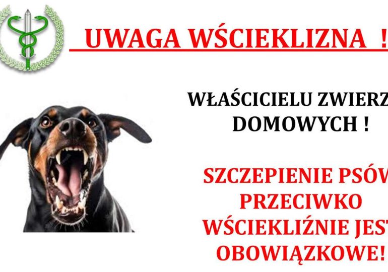 Szczepienie psów przeciwko wściekliźnie obowiązkowe!