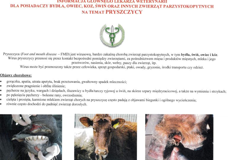 Informacja Głównego Lekarza Weterynarii - PRYSZCZYCA