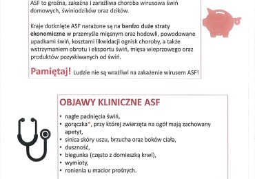 Informacja Powiatowego Lekarza Weterynarii w Mielcu - ASF