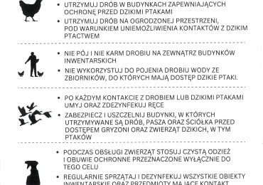 Uwaga! Rzekomy Pomór Drobiu!