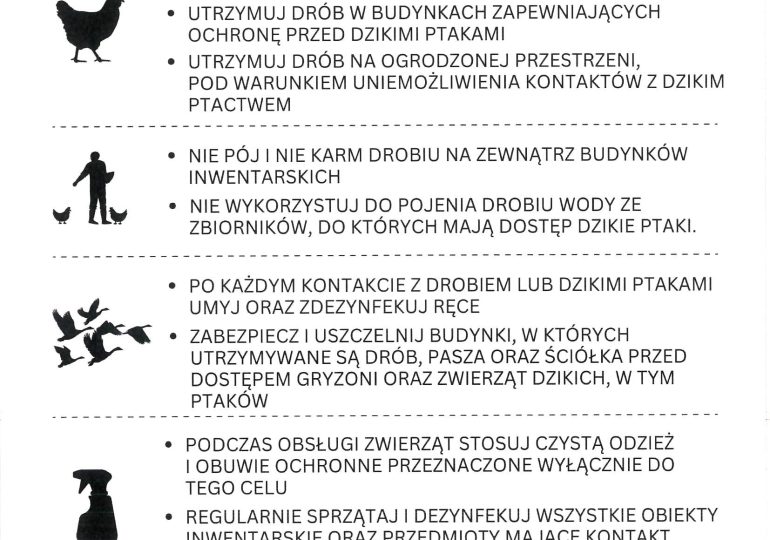 Uwaga! Rzekomy Pomór Drobiu!