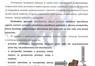KOMUNIKAT dotyczący szczepienia dzikich lisów przeciwko wściekliźnie