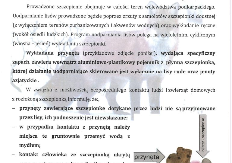KOMUNIKAT dotyczący szczepienia dzikich lisów przeciwko wściekliźnie