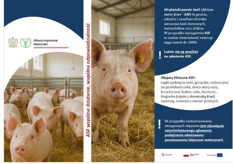 Komunikat dotyczący Afrykańskiego Pomoru Świń (ASF)