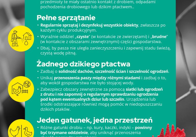 Podstawowe wymogi bioasekuracji dot. Grypy ptaków (HPAI)